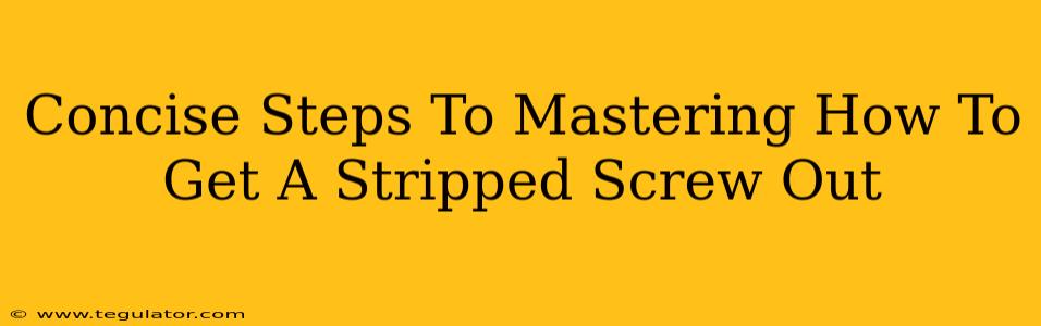 Concise Steps To Mastering How To Get A Stripped Screw Out